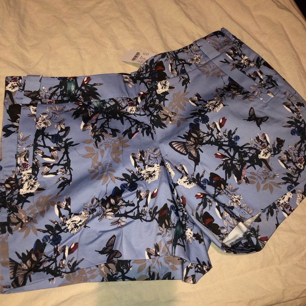 J Crew Shorts